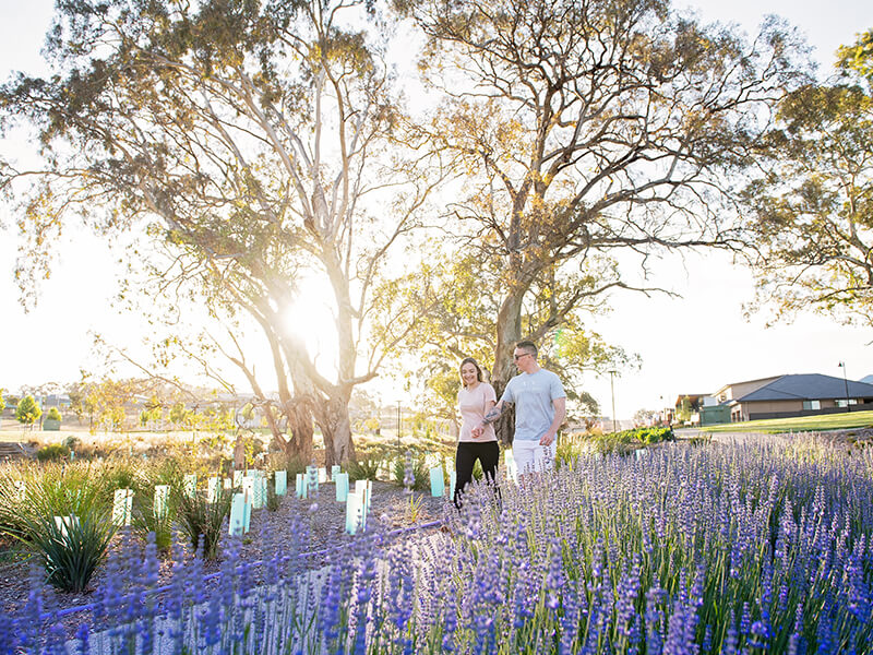 Springlake_gardens_couple_lavendar