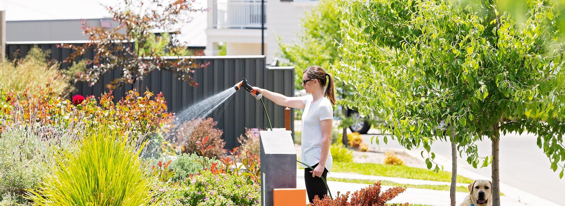 Springbrook Mount Barker Land for sale House and land